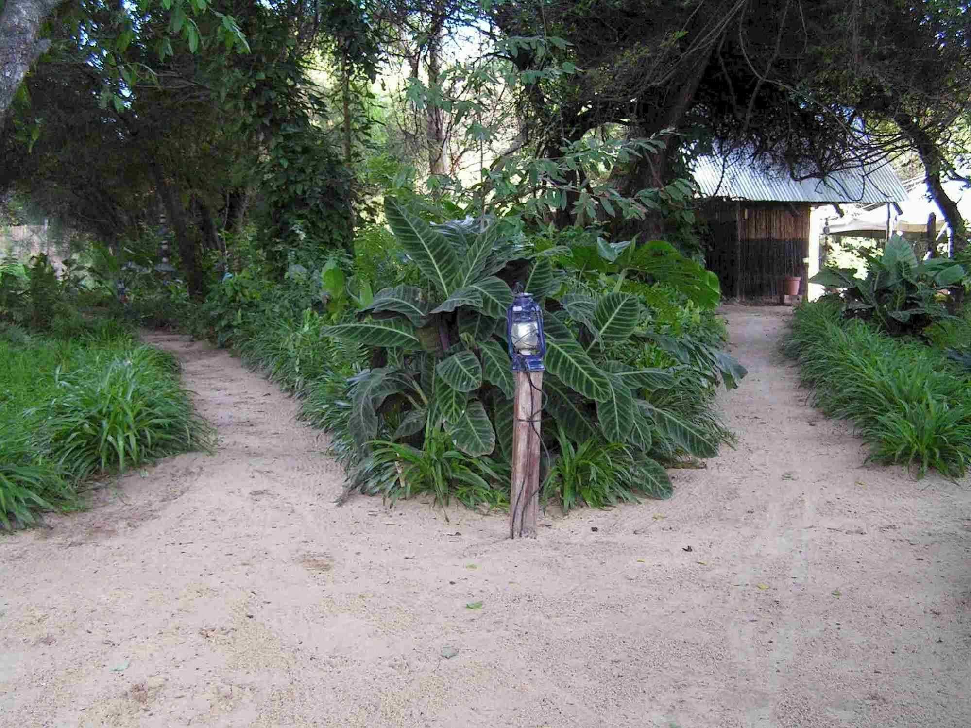 Caprivi Houseboat Safari Lodge Katima Mulilo Esterno foto